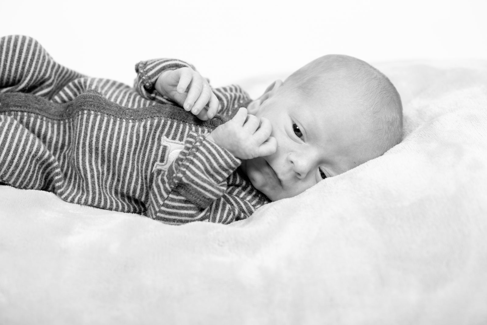 Columbus Ohio Family Portrait Newborn Baby Photographer