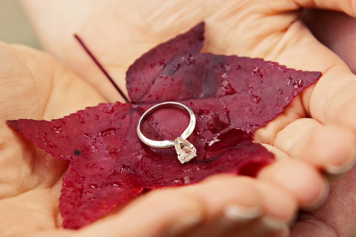 Engagement Photography - Hands holding red leaf with engagement ring