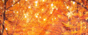 Fall Photo Backdrop