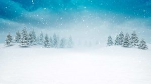 Columbus Photography Winter Wonderland Studio Portraits
