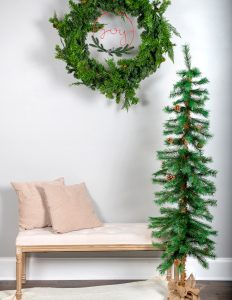 Holiday Photo Shoot Setup - Robintek: Columbus Photography & Design